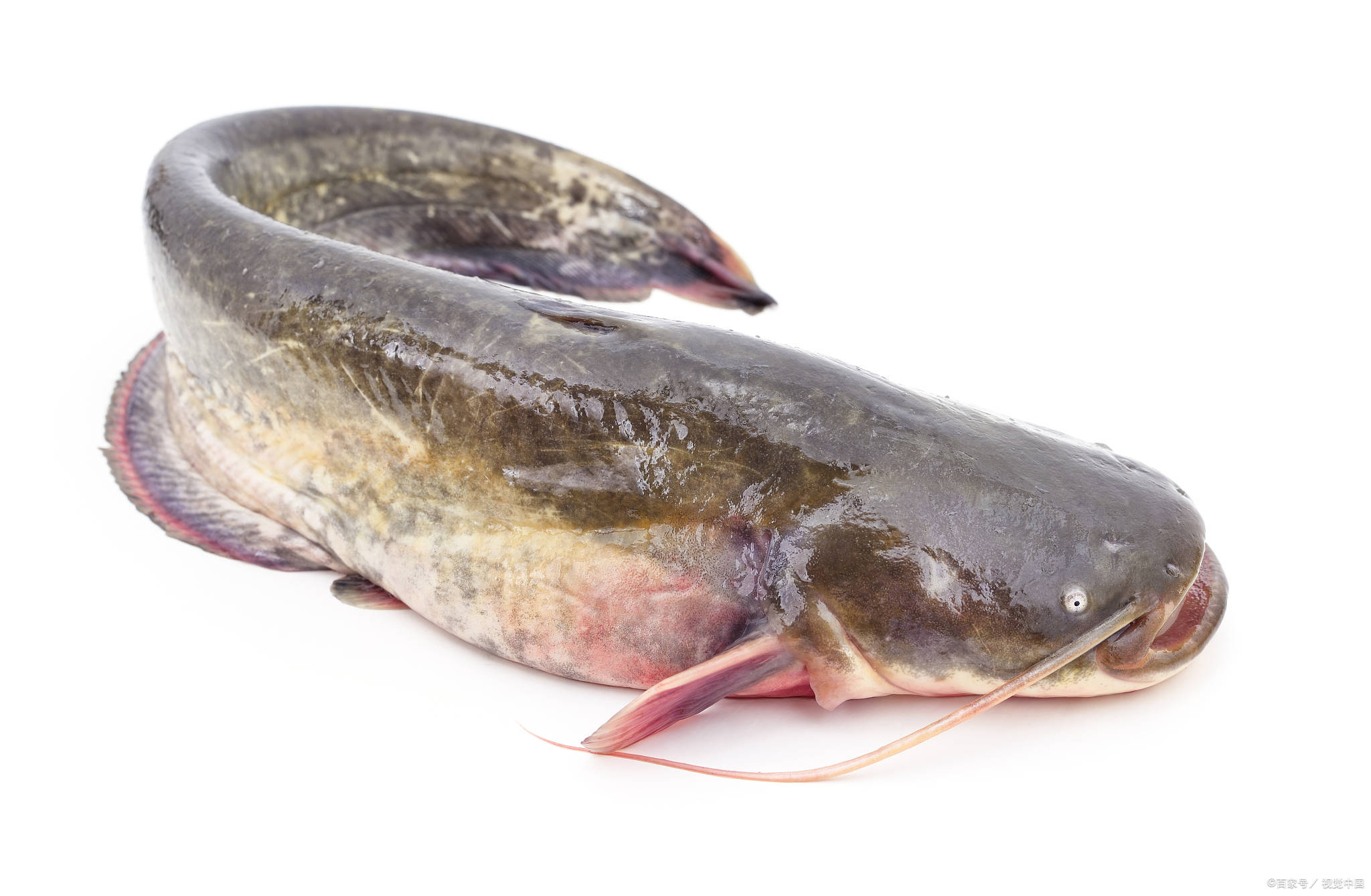 �������˶������ʱ�����ѡ��