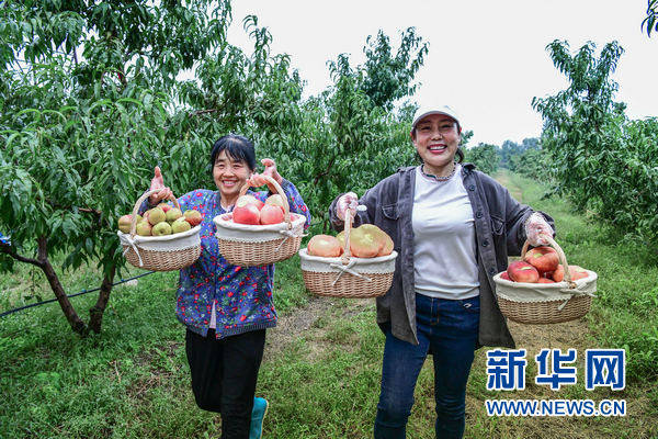 开云体育 kaiyun.com 官网入口武清入选全国休闲农业重点县名单 全力谱写乡村振兴新篇章(图2)