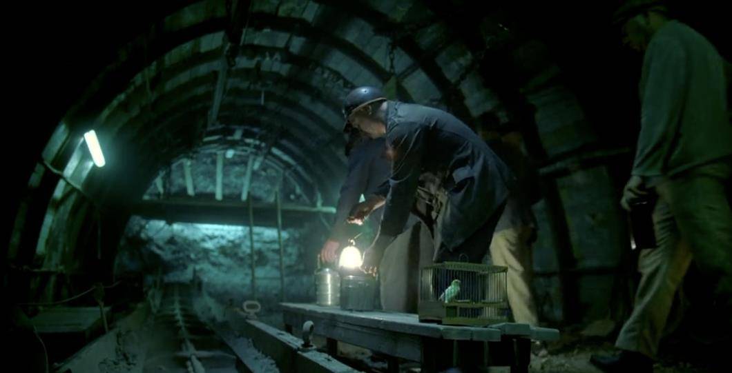 �����ȹ���-1954�겮�����漣