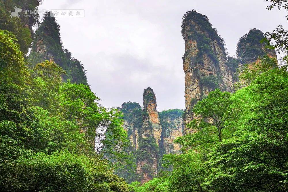 丛林峡谷、溶洞温泉，藏着意想不到的美景！