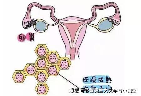 【医问答】排卵监测什么时候做？需要做几次？