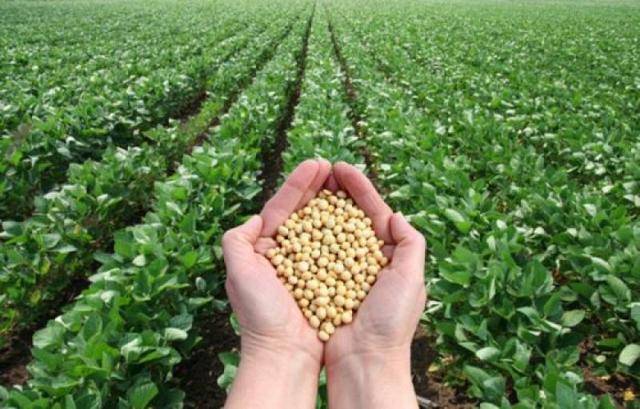 豆粕期货失守3600元背后：多家饲料企业宣布降价，养殖板块二季度或爆发