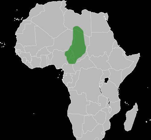 ���޹Ŵ�25���۹�������������������ʢʱ��������� ...