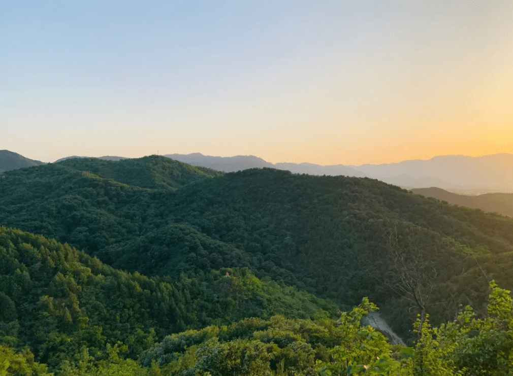 北京旅游必打卡线路（七）：香山、动物园、卧佛寺、百望山