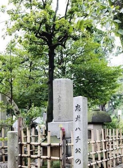 八公原型：仆人身后曾遭凌虐，车站苦等10年后病死，与仆人同葬