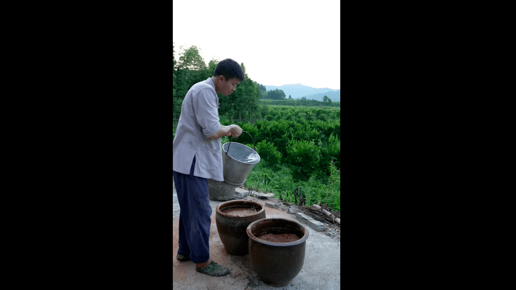 李子柒的下一步，怎么走？ _ 苏秦精选