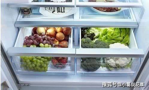 热菜能够间接放入冰箱吗？营养师提醒：4类食物不合适放进冰箱