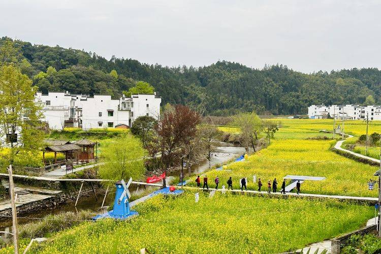 春游，愉悦之旅