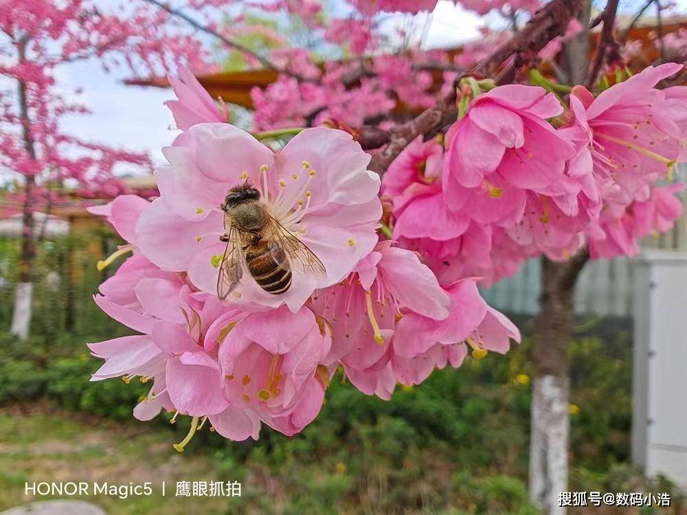 手机没需要买iPhone！那五款安卓中杯旗舰，销量好+口碑佳