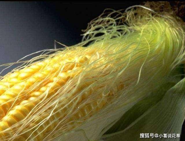 芹菜叶、玉米须那些蔬菜边角料能吃吗？伶俐的人，都拿它们当宝物