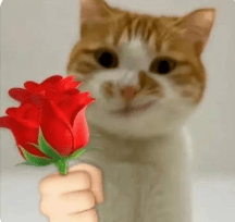 ����ʲô������С�������