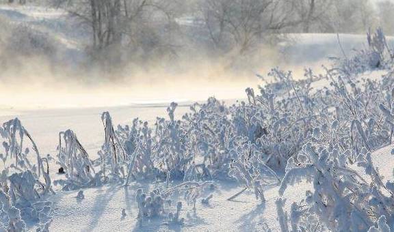 掩不去的雪痕，千里又千里