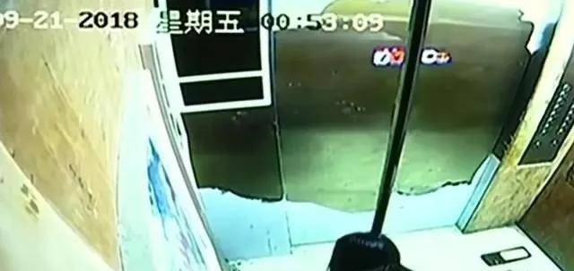 河南美女公然在电梯拉屎，业主表示：太臭了，还以为是狗拉的