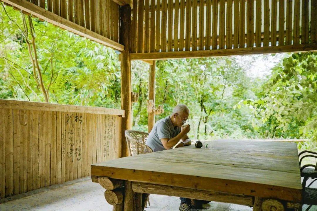 一个怪脾性老翁，隐居雨林20年，每天“拼命”找好茶