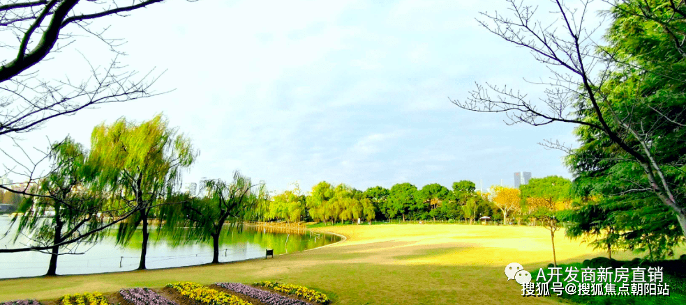 杨浦财产领御丨（财产领御）欢送您丨财产领御丨楼盘详情 /价格 /财产领御户型