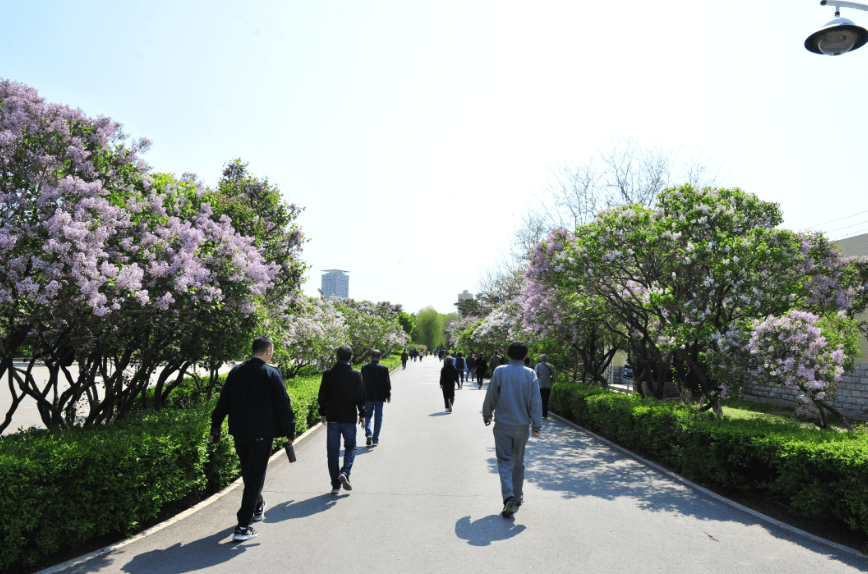 长春市成功公园首届“古拆秀”邀市民一路换拆表态