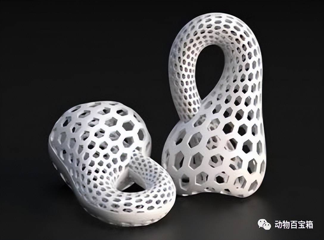 3D打印技术有多牛？实至名归(图4)