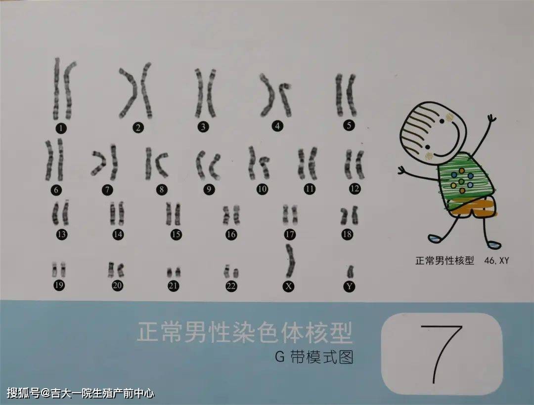 【医问到底】染色体异常如何生育健康宝宝？