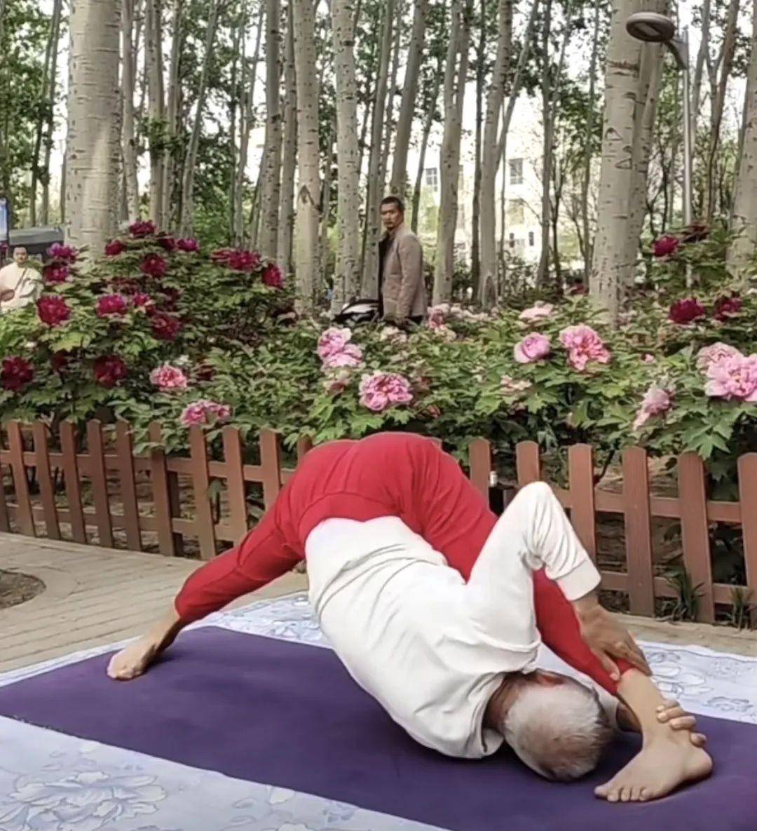 71岁瑜伽泛亚电竞大师现身电视节目瑜伽不分男女老少！(图8)