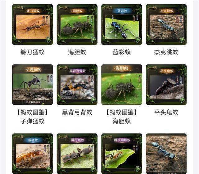 “小小蚁国”即将上线，3D写实风策略游戏，支持账号转移氪金回血