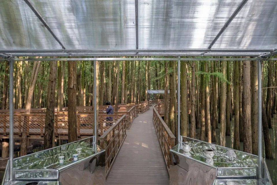 文章配图-8