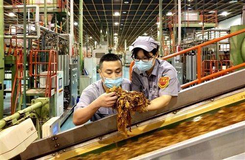 塑PG电子APP下载 - 官方正版，安全无忧胶厂急招碎料加料