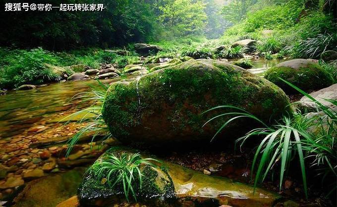 张家界凤凰古城的5天4晚自由行攻略