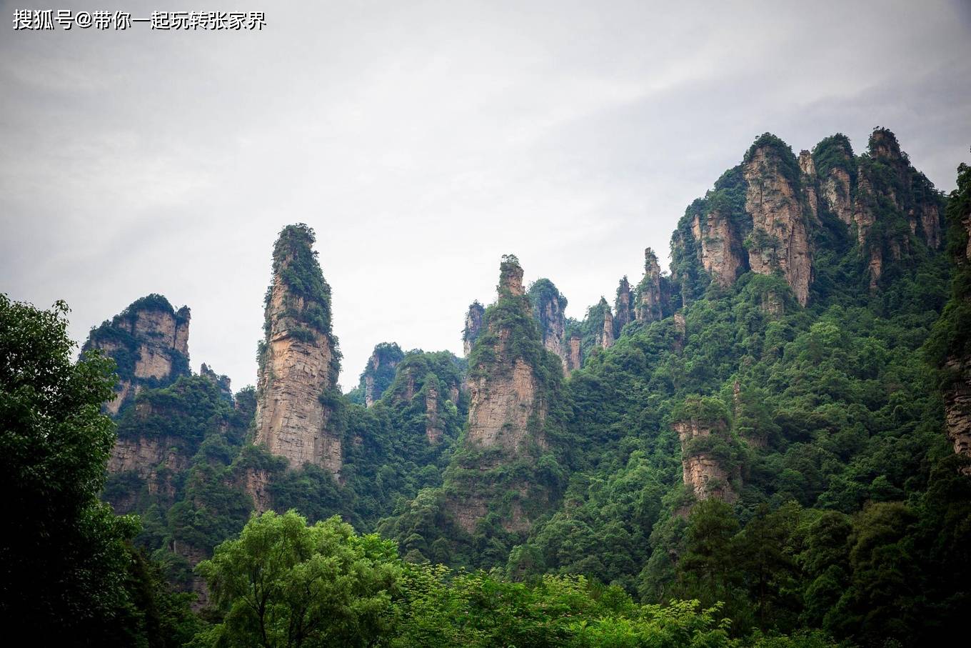 赏武陵奇峰-醉美张家界4日游自由行攻略