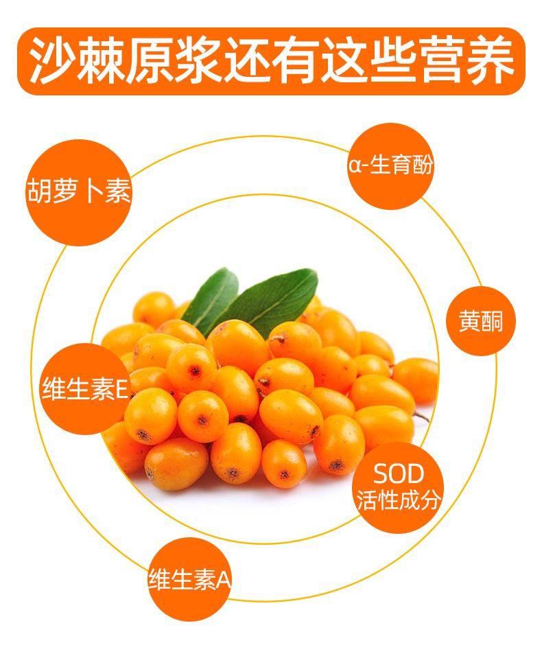 沙棘原浆功效作用与主治