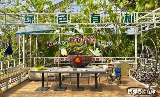 开云 开云体育平台吉林市丰满区：“现代农业+乡村旅游”助推城乡融合发展提质升级