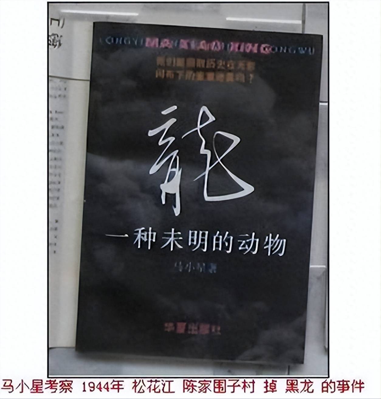 飞龙?济南5天2次现不明飞行物!专家:某生物痕迹,龙真的存在吗 飞龙?济南5天2次现不明飞行物!专家:某生物痕迹,龙真的存在吗