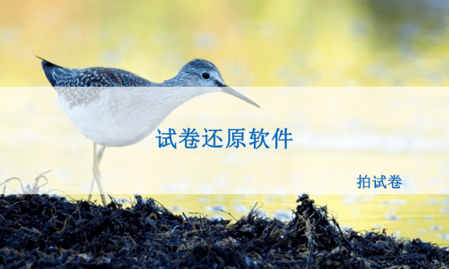 试卷怎么还原成空白卷？用试卷还原软件！