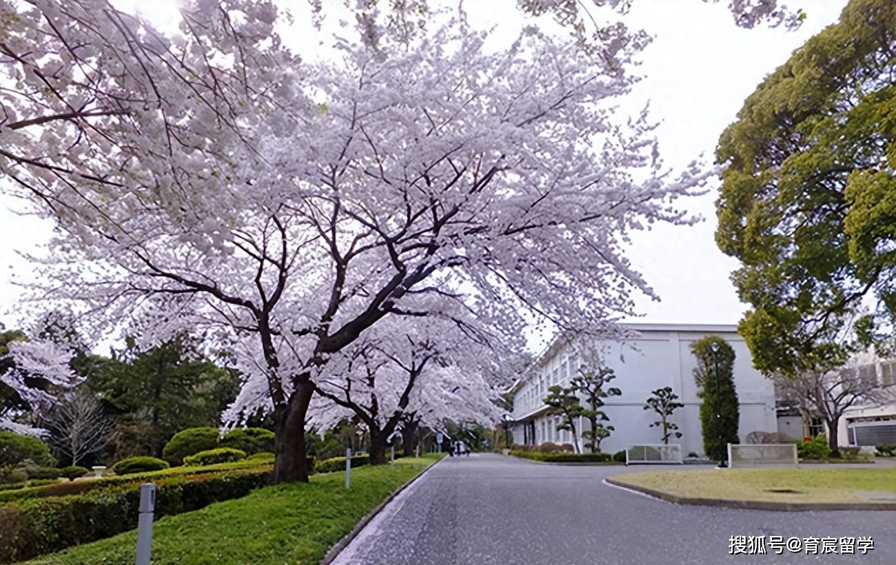 东京都市圈内的顶级国立大学，千叶大学