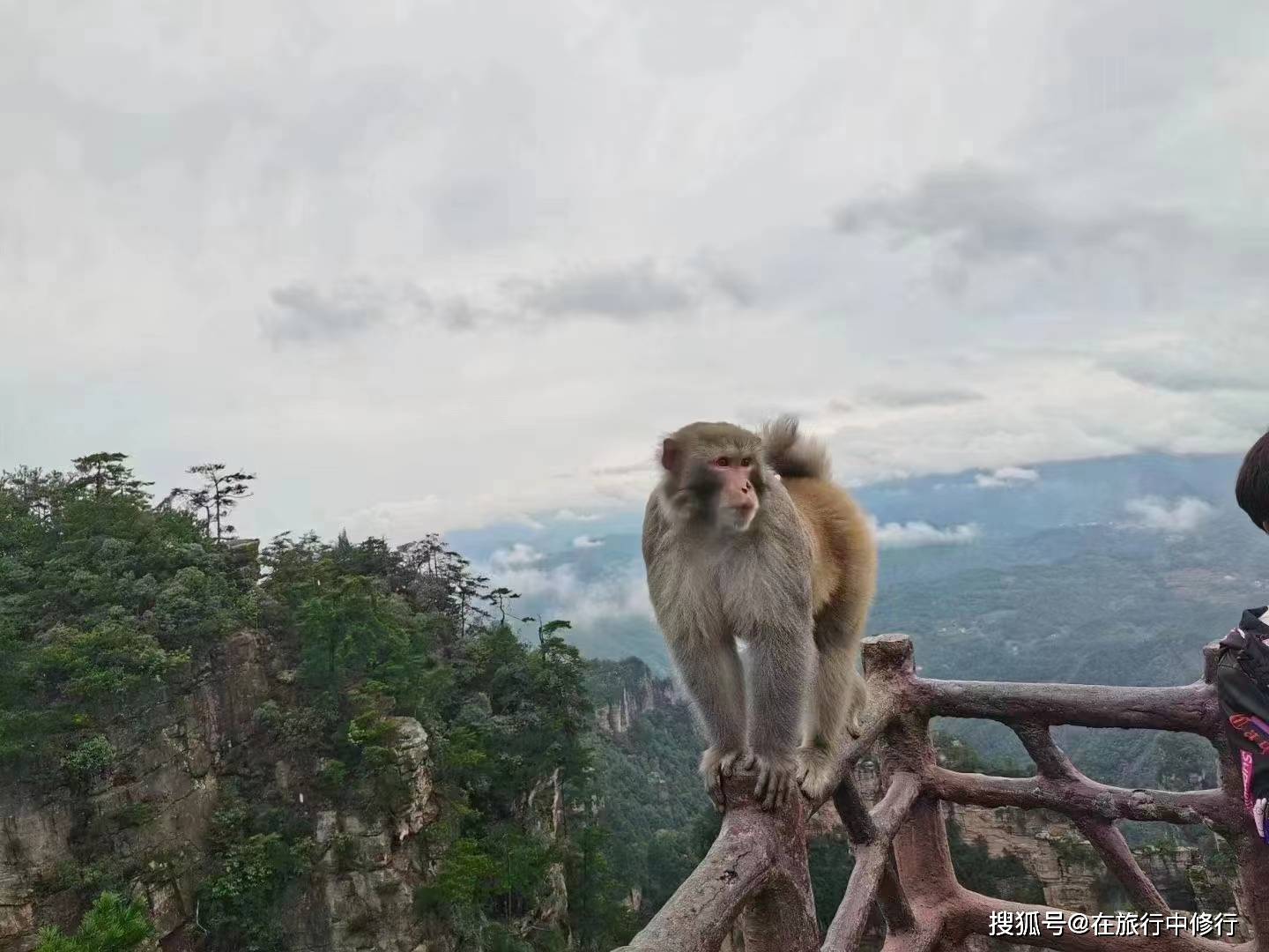 湘西之最张家界-天门山超全4天3晚旅游攻略