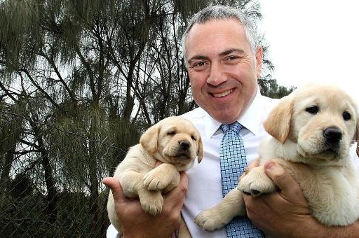 萌新主人第一次养宠物，可狗狗回家之后要怎么养？4个知识点解决-第8张图片-冲锋网