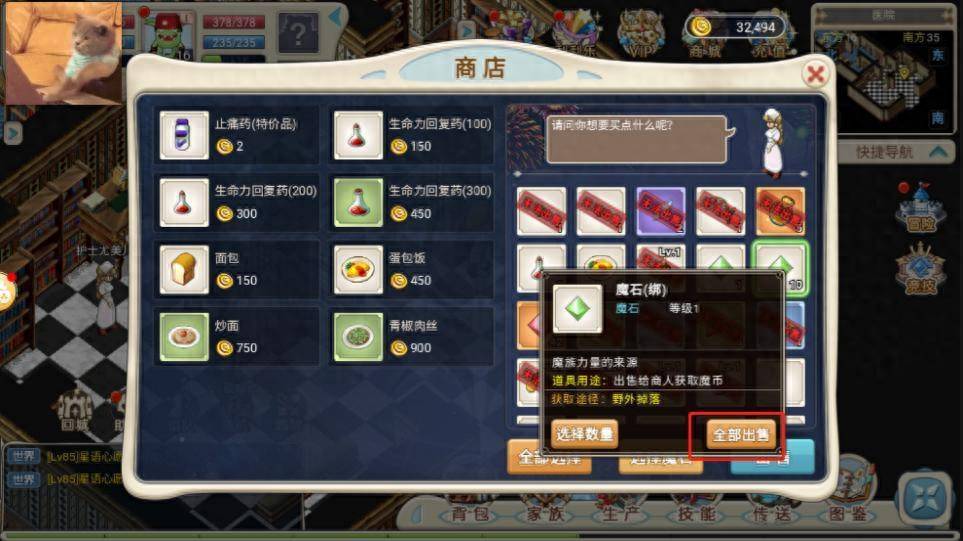 魔力宝贝回忆:超详细机制介绍，萌新福音，避免暗坑!