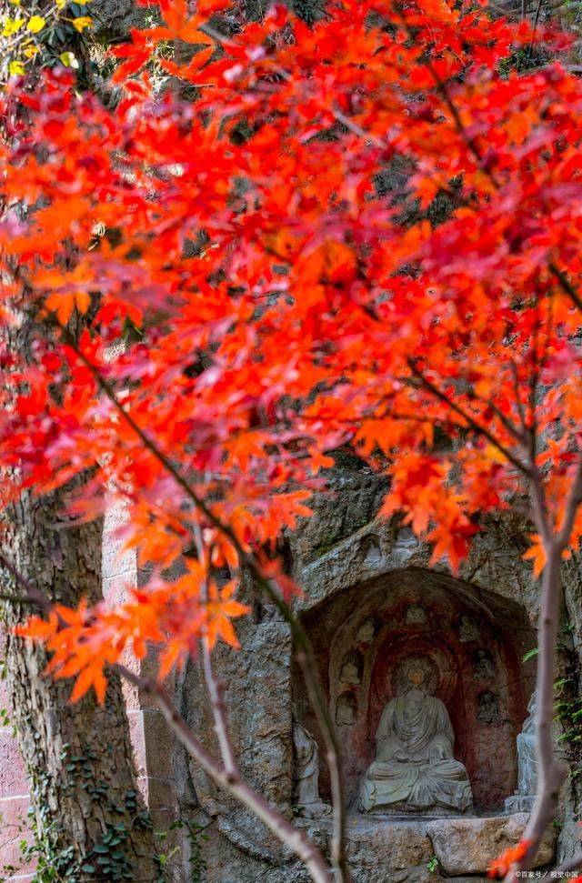 南京旅游攻略：南京最值得去的10个景点，假期周末周边游好去处