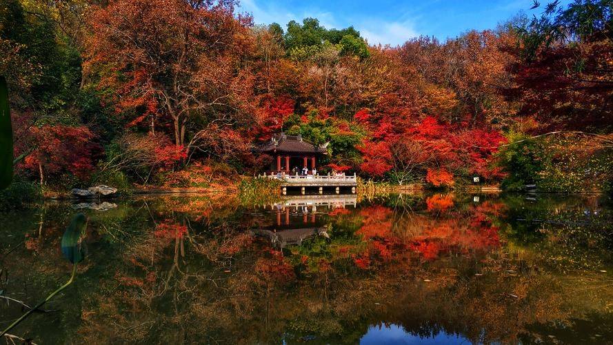 南京旅游攻略：写给想去南京旅游的人五条忠告！最佳线路行程分享