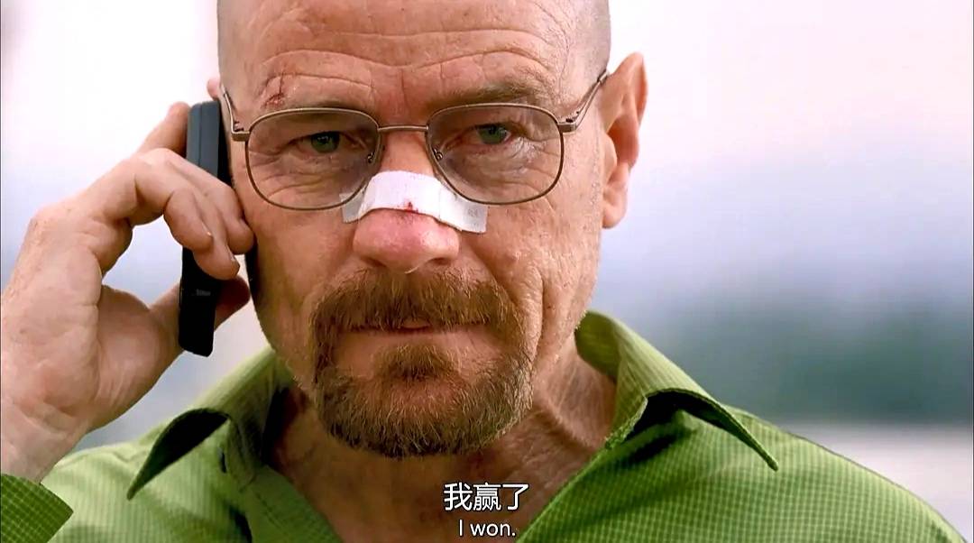 《绝命毒师》5季网盘全季4k画质中英双字精彩赏析