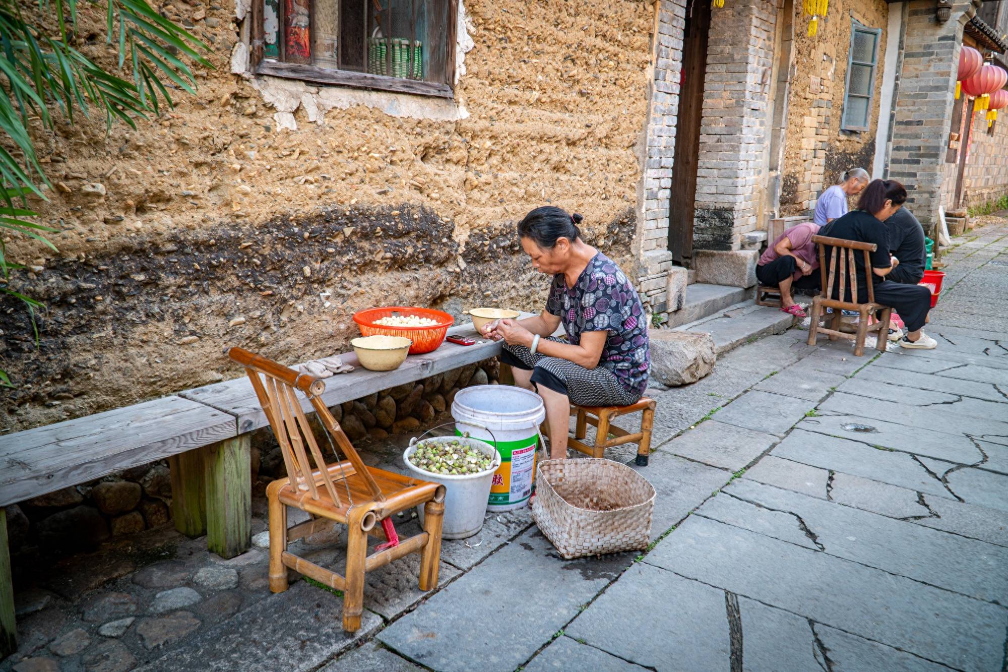 三天两晚，环武夷山国家公园1号风景道自驾游