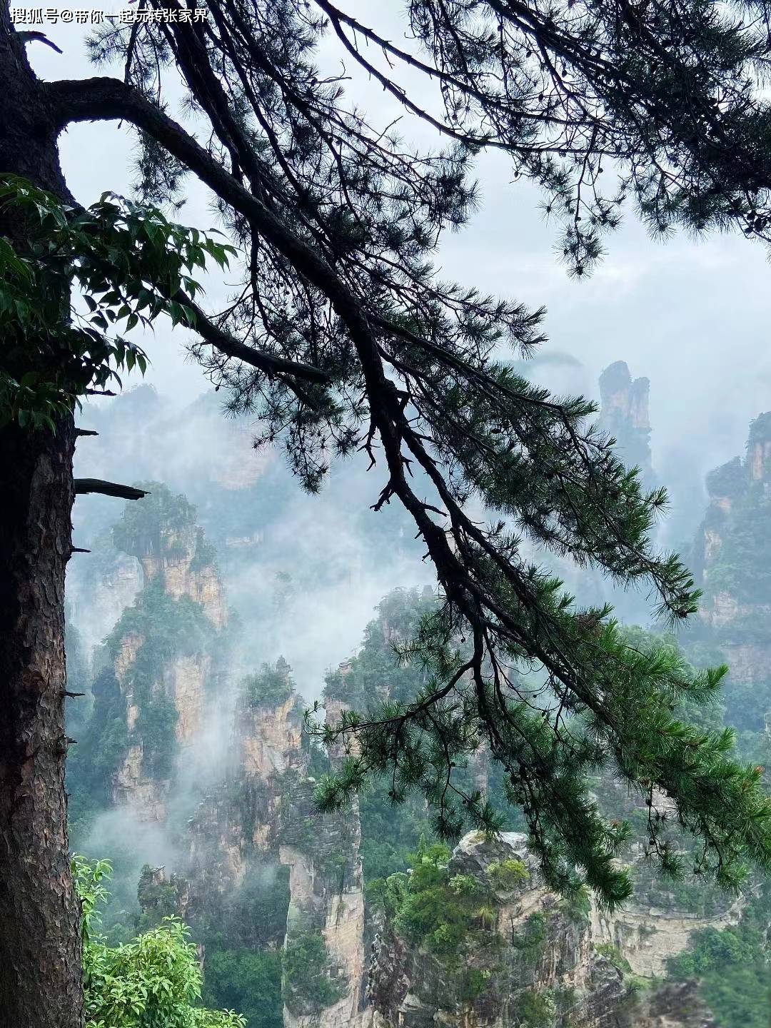 国内景区旅游天花板张家界天门山凤凰古城5日游攻略