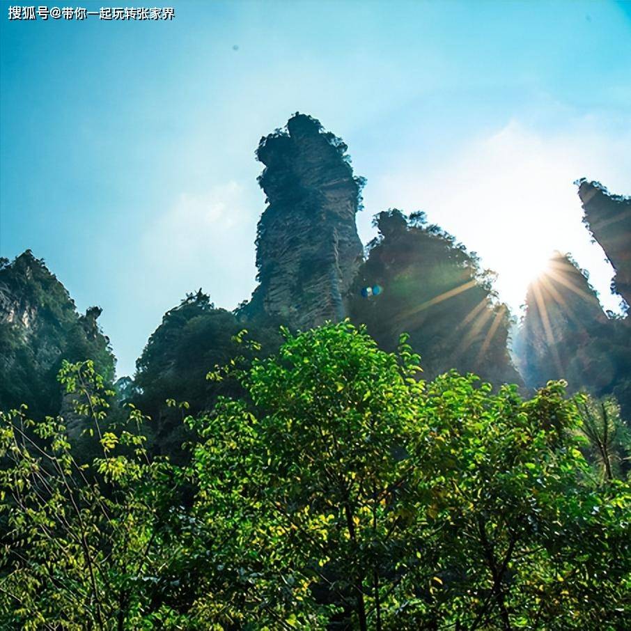 登顶天门山-张家界国家森林公园深度游玩4天3晚旅游攻略