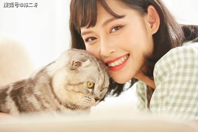 普及宠物狗知识，到底有没有必要-第1张图片-冲锋网