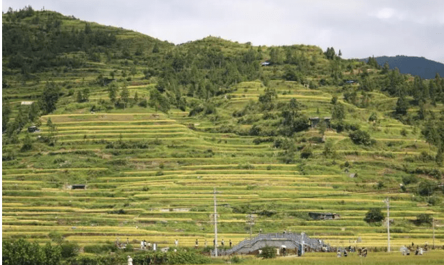 贵州超实用旅游攻略自由行路线，第一次去贵州必看