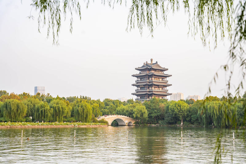 5天4晚山东美食攻略，开启一场味蕾之旅！