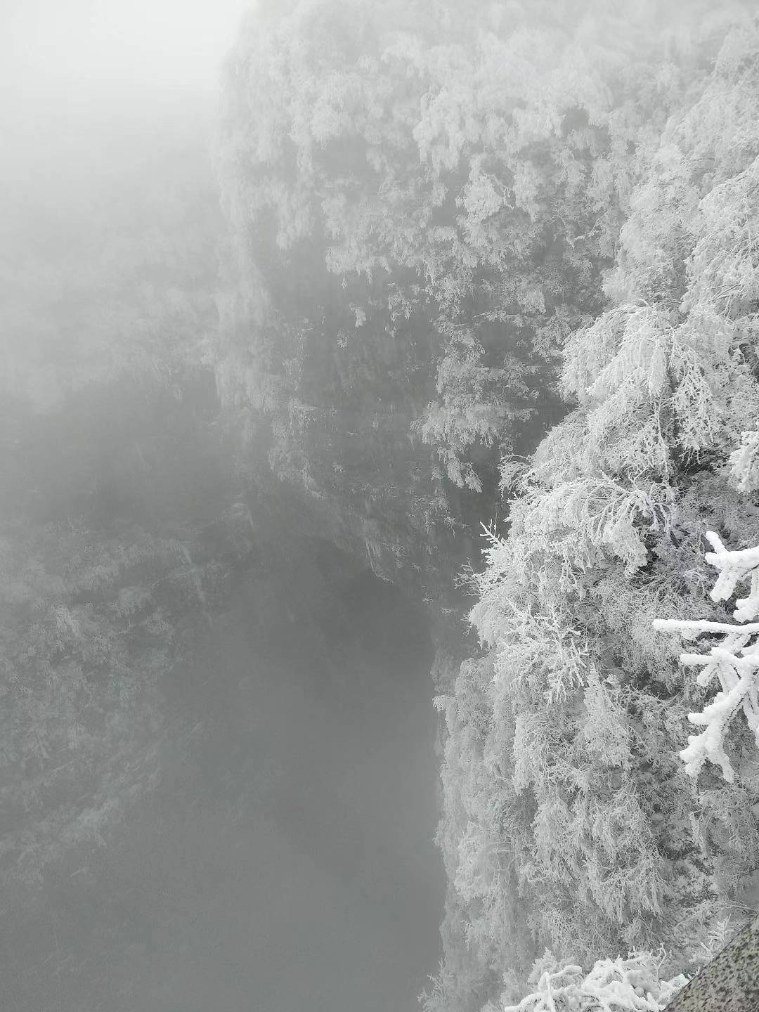 原创
            《熊出没》里光头强的生活哲学，成年人的世界除了卑微，还有这些