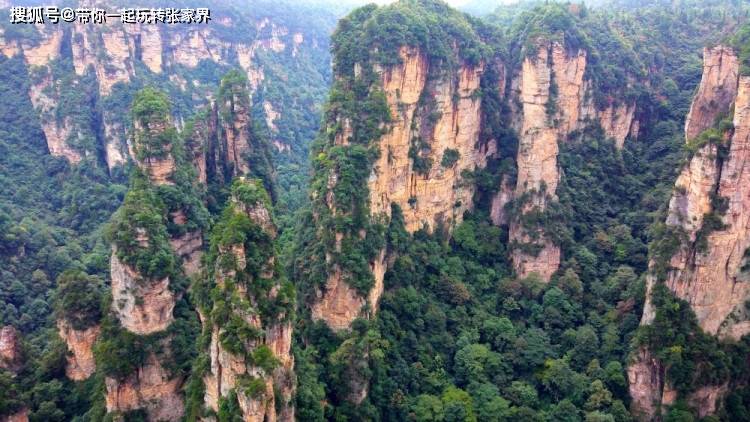 张家界森林公园深度旅游+天门山，凤凰自由行（详细攻略）