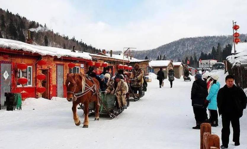 哈尔滨跟团游五天费用 雪乡5天4晚当地跟团价格，哈尔滨旅游攻略