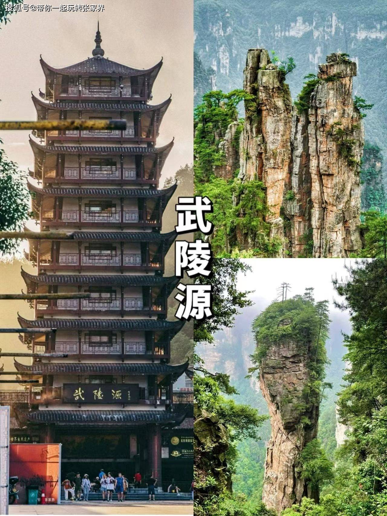 带父母游张家界-纯玩小包团-4天自由行超详细旅游攻略