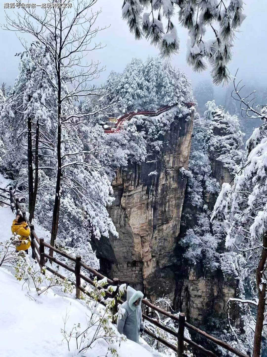 一起去张家界看雪景吧-一份张家界凤凰古城5日游旅游攻略